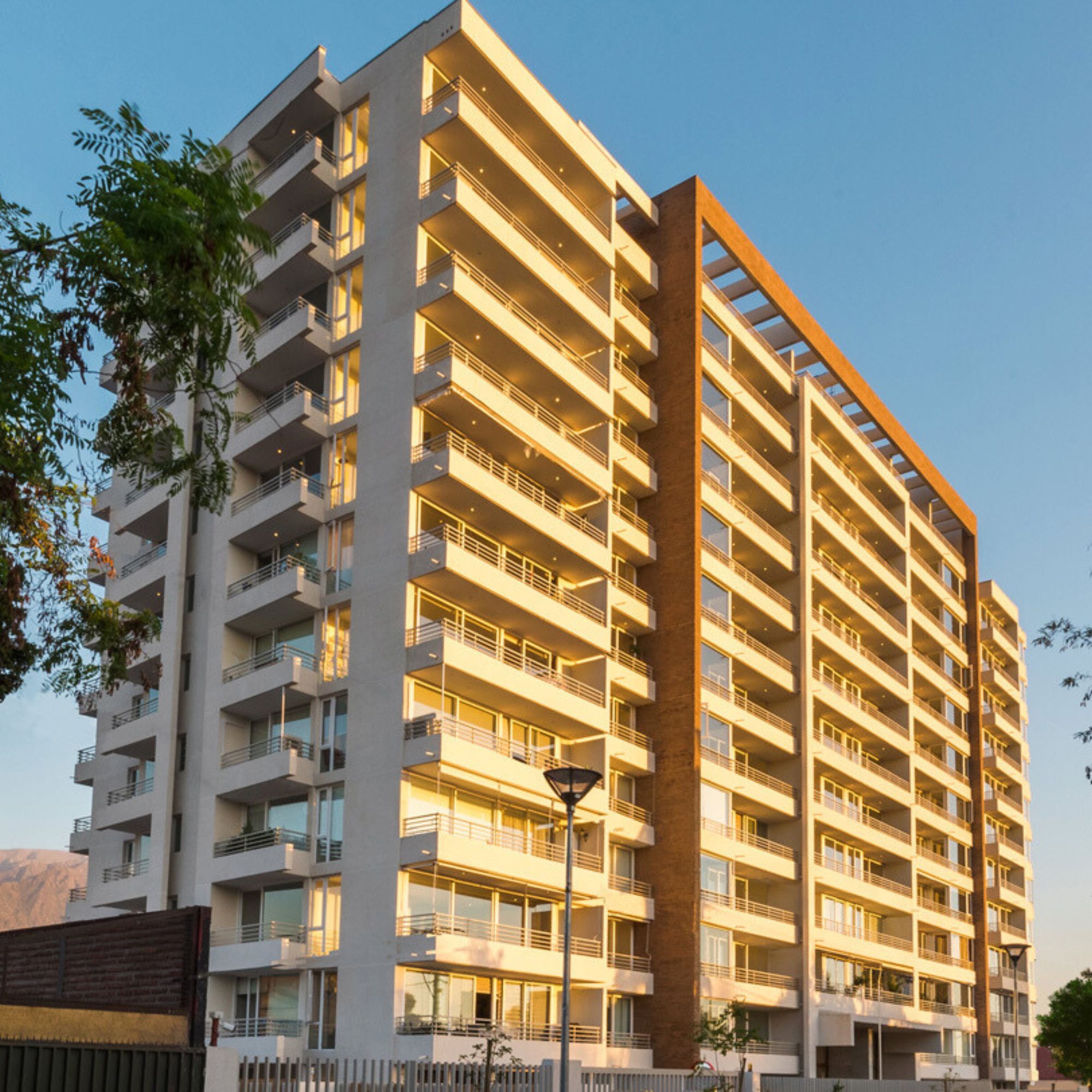 Edifico Focus